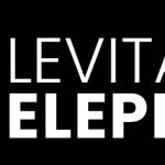 levitatingelephant profile picture