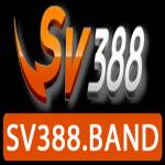 SV388 profile picture