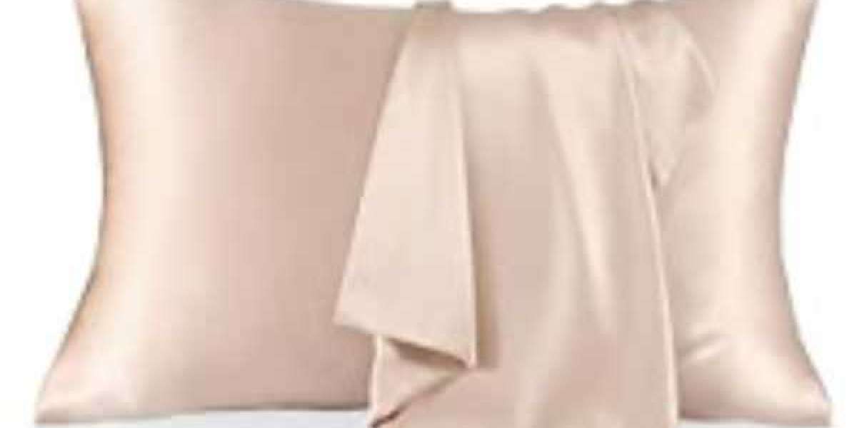 Silk Pillow Delhi | Furbo Store