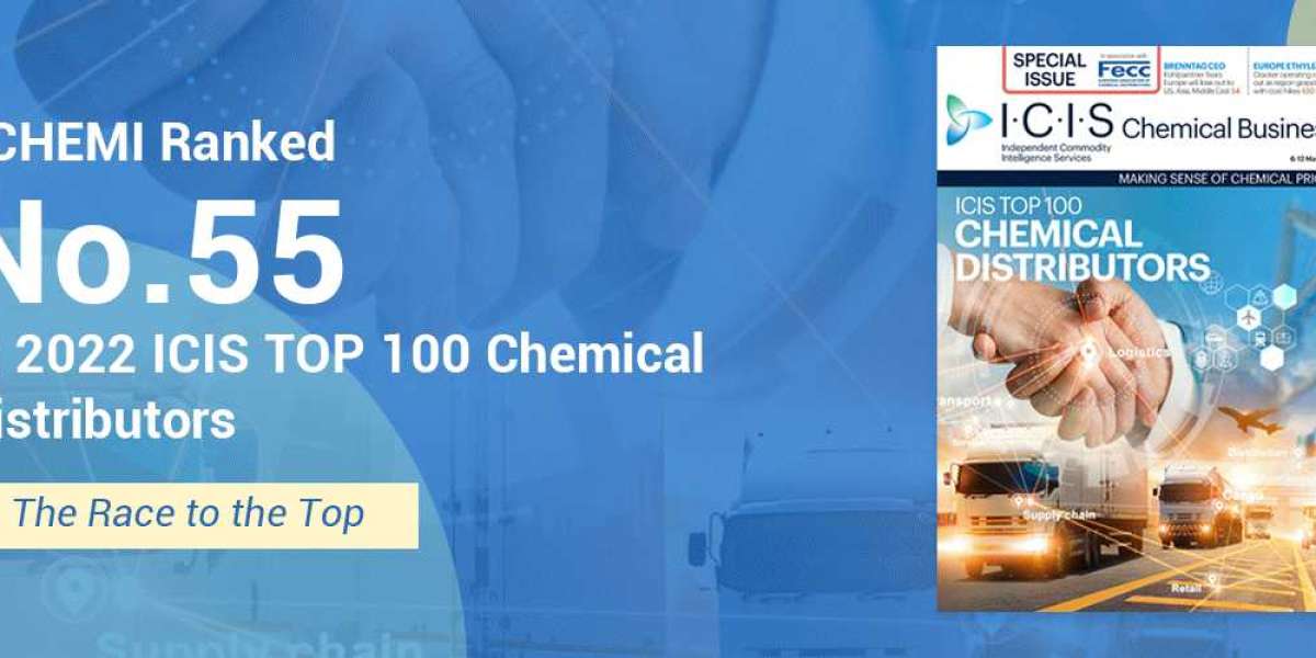 Analysis of Echemi: A multifaceted look at a specialty chemical manufacturer