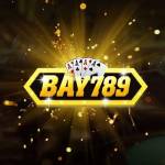 Bay789 Bid Profile Picture