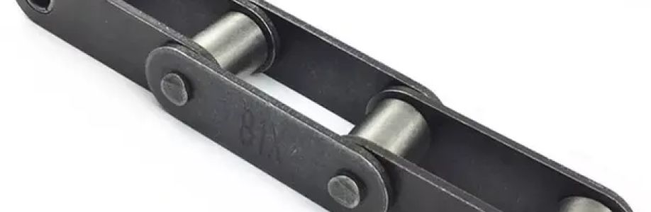 81x chain Cover Image