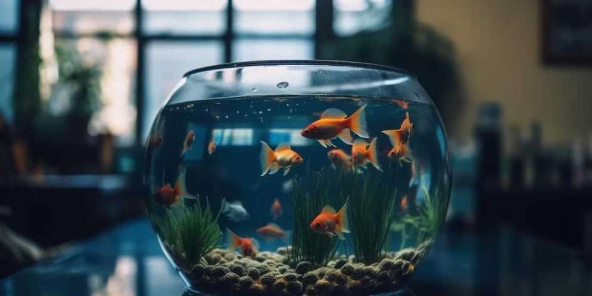 From Rustic to Modern: Exploring Different Aquarium Decor Styles