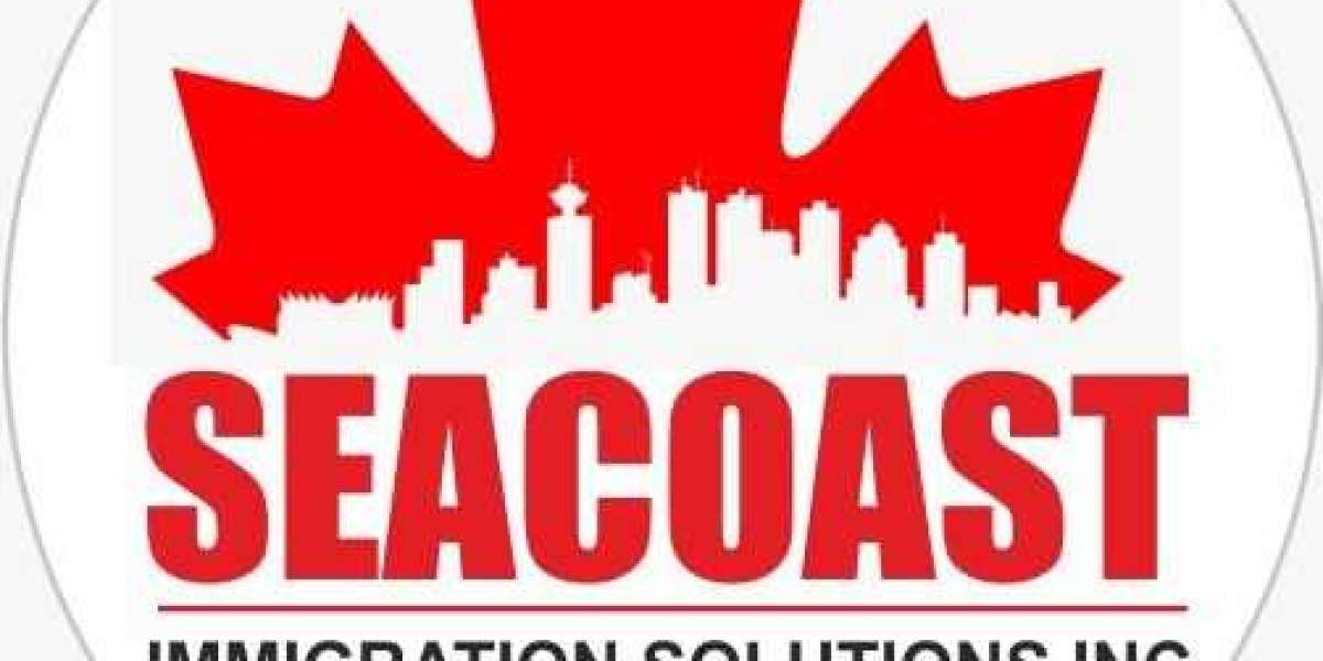 Best consultant for Study Visa | Seacoast Immigration Solutions