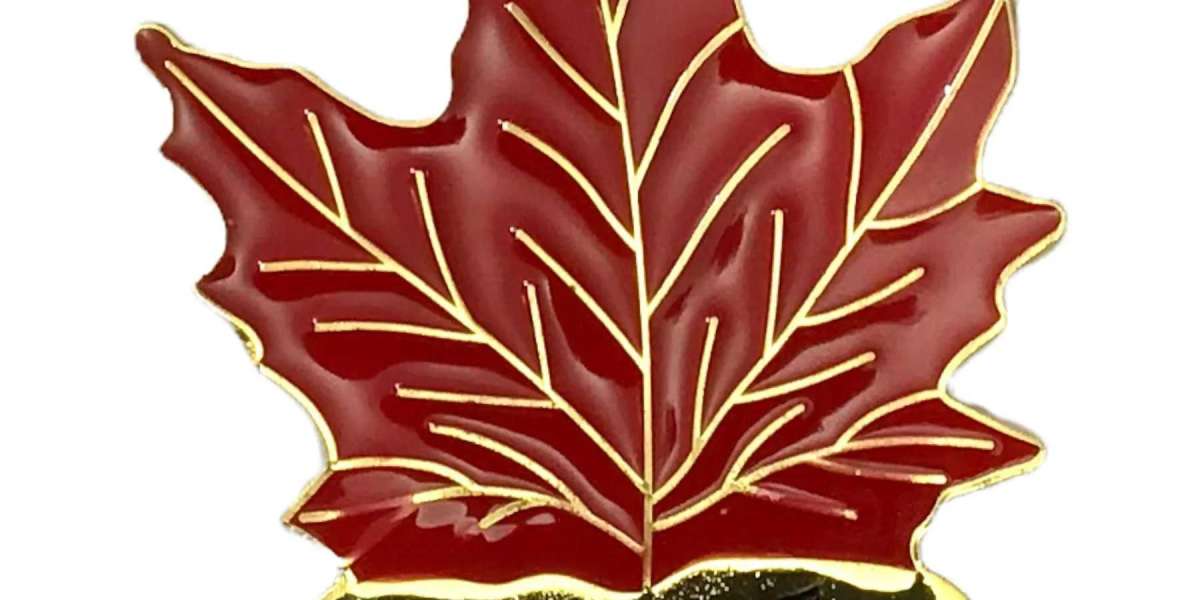 Celebrate Every Occasion With Unique Canadian Souvenirs