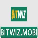 Bitwiz Profile Picture