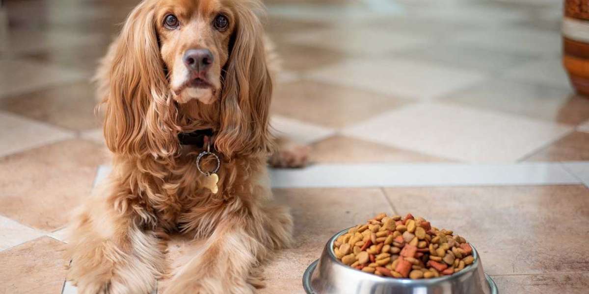 The Benefits of Raw Dog Food: Improving Health and Vitality