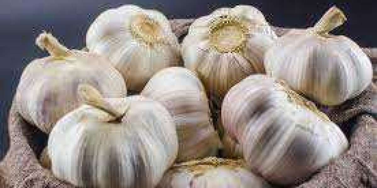 "The Natural Duo: Garlic and Aspadol Tablet for Effective Pain Management"