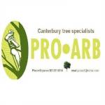 proarbcanterbury1 Profile Picture