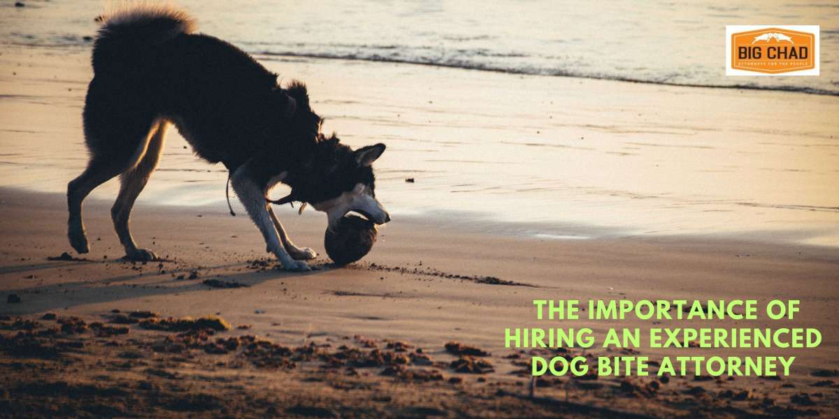 The Importance of Hiring an Experienced Dog Bite Attorney