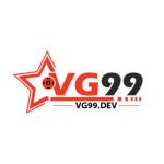 VG99 VG99.DEV Profile Picture