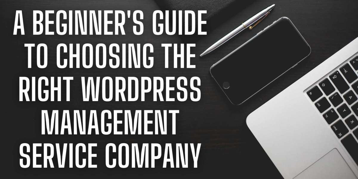 A Beginner's Guide to Choosing the Right WordPress Management Service Company
