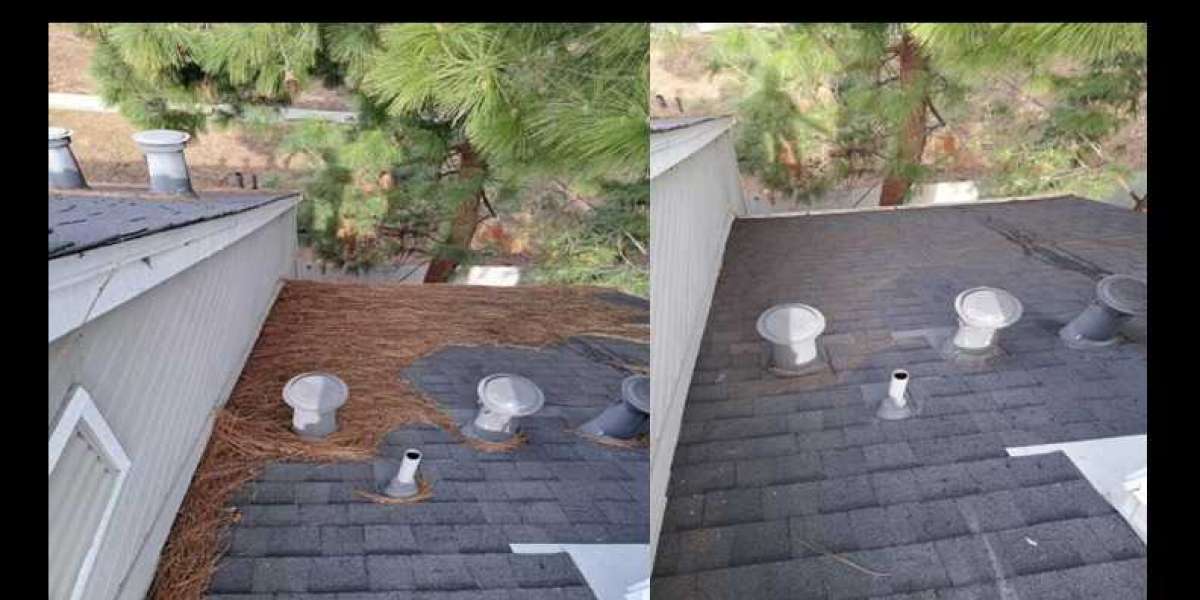 Roof & Gutter Cleaning Services