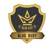 Blogbudy4 blogbudy profile picture