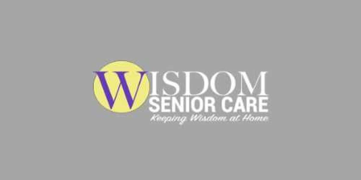 Empowering Entrepreneurs: Exploring Lucrative Opportunities with Wisdom Senior Care Franchises for Sale