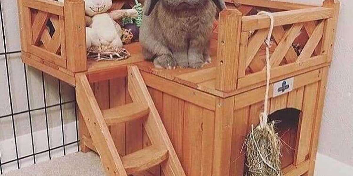 Is There Pet Insurance For Rabbits