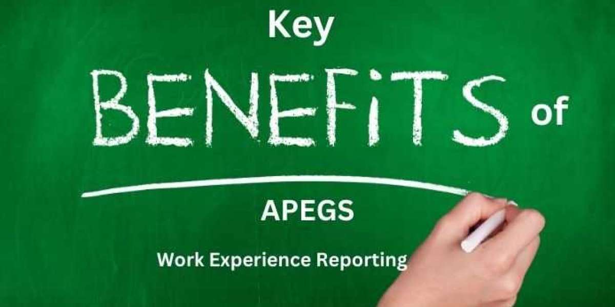 Exploring APEGS Work Experience Reporting