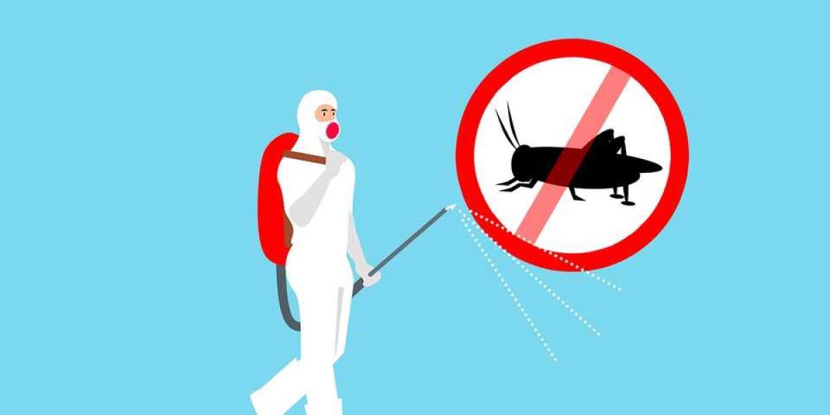 Effective Strategies for Commercial Pest Control