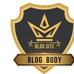 Blogbudy Blogbudy Profile Picture