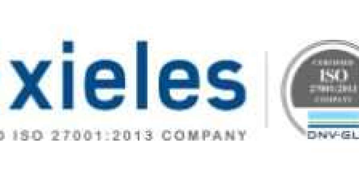 Premium Web Hosting Support Services by Xieles