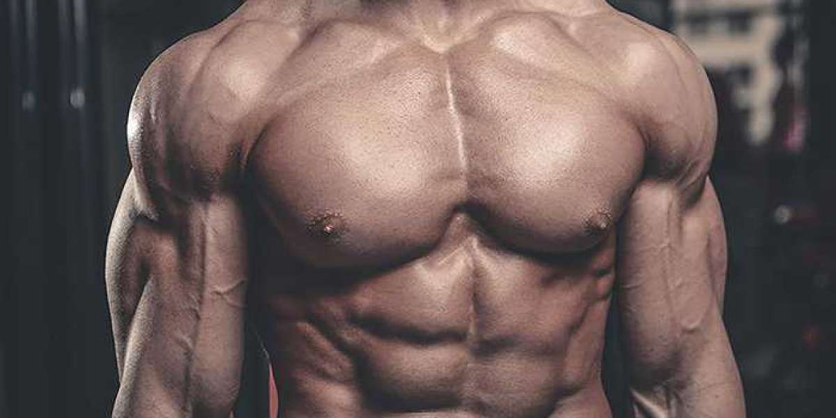 An Introduction to the Beginner Chest Workout in Detail