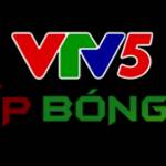VTV5 trực tiếp Profile Picture