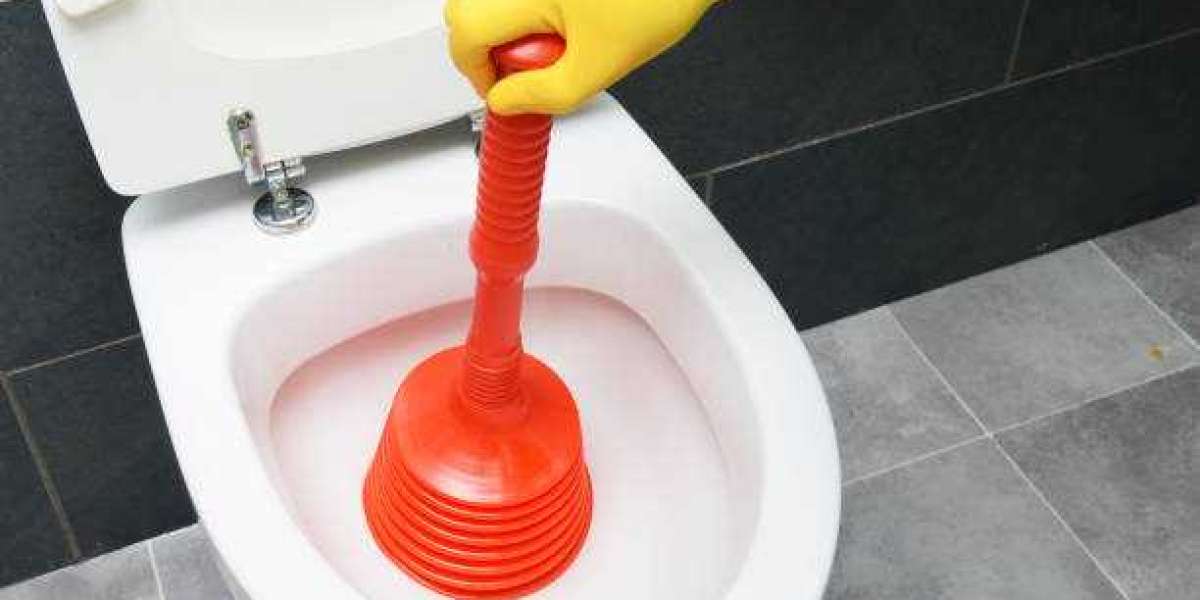 Troubles Down the Drain? Toilet Unblocking in Bignor Has You Covered!