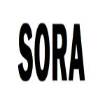 Sora Profile Picture