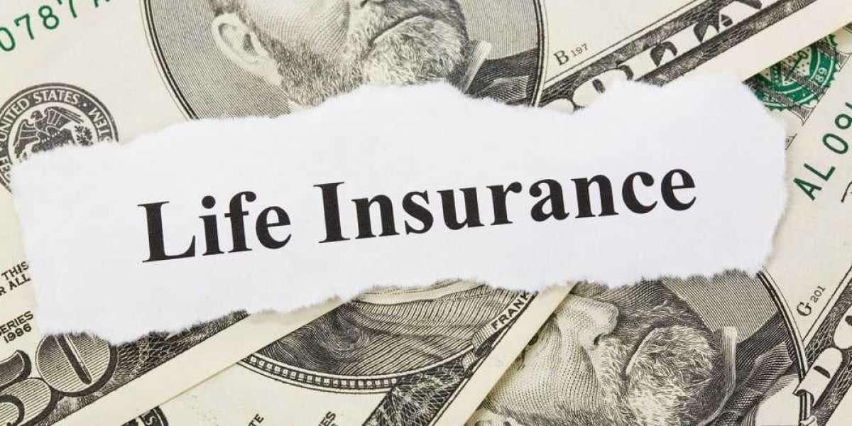 Personalizing Your Policy: Customizable Insurance Options
