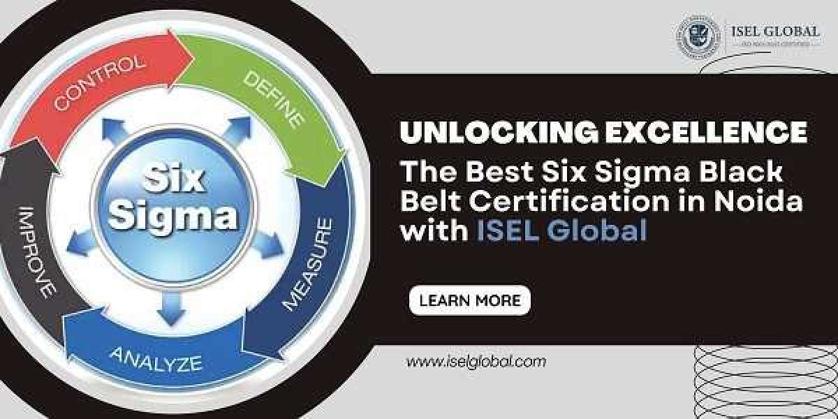 Excellence: The Best Six Sigma Black Belt Certification in Noida with ISEL Global