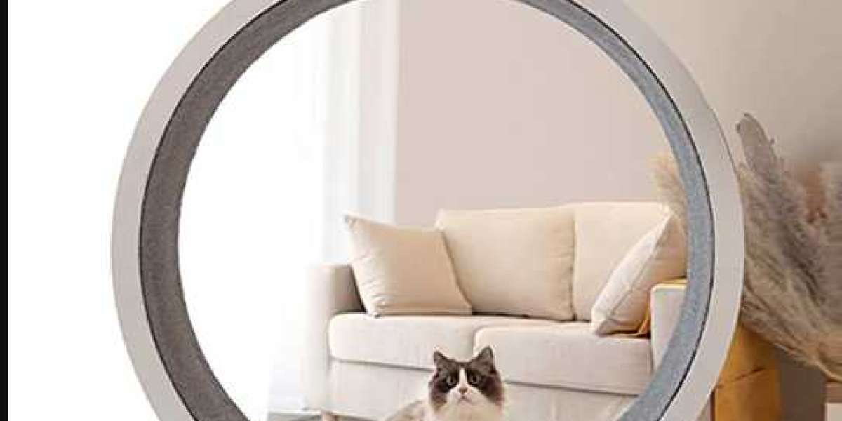 Keep Your Cat Active and Healthy with a Cat Running Wheel