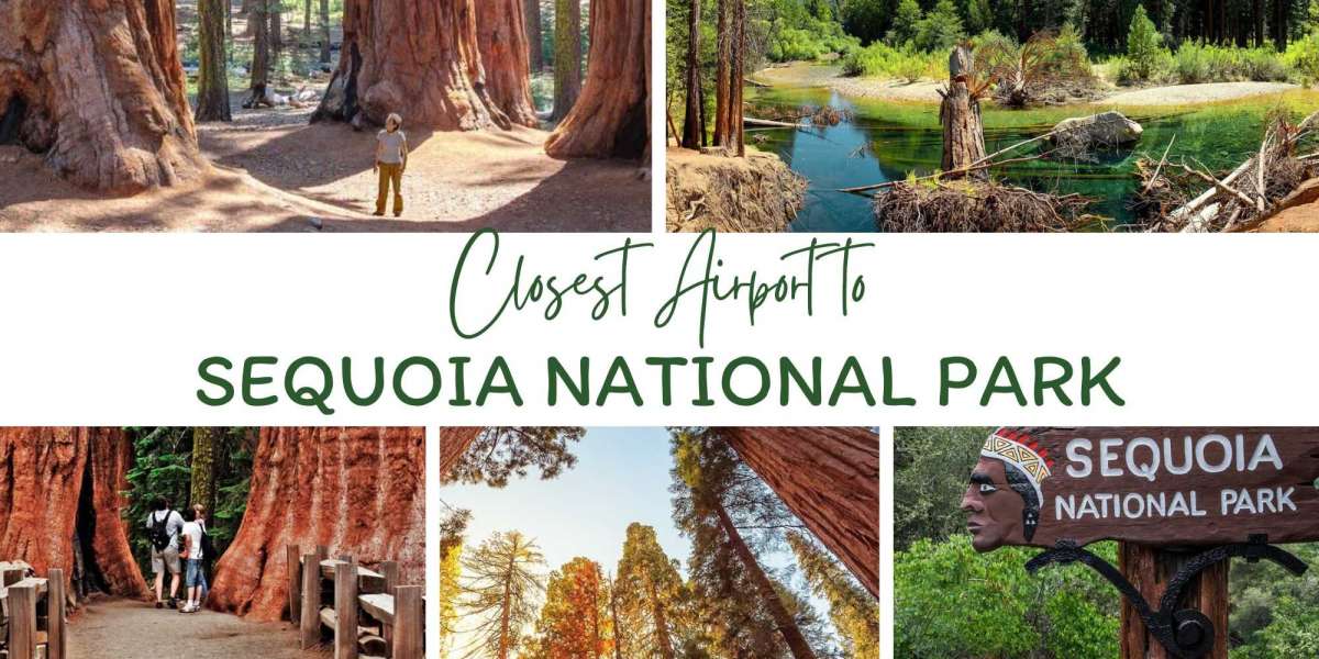 Closest Airport to Sequoia National Park (Updated)
