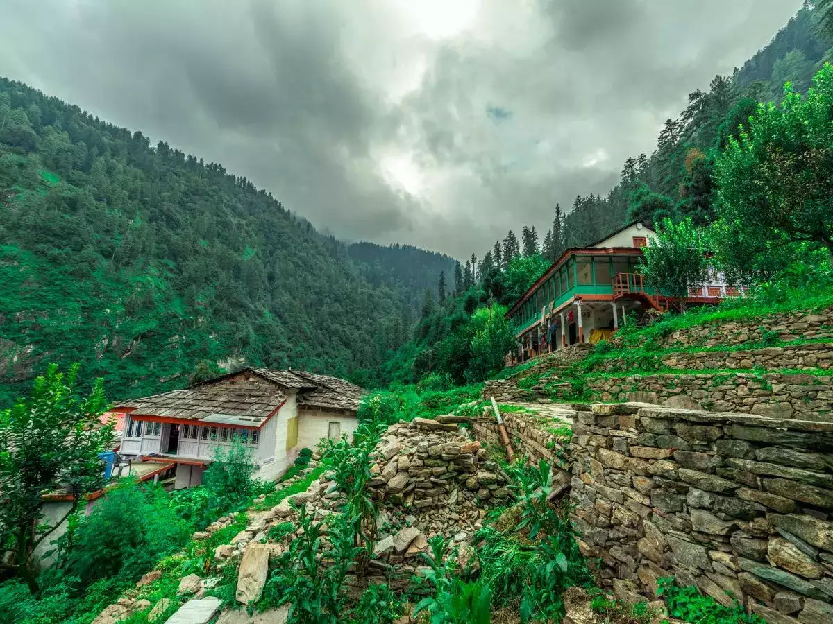 Into the Heart of Nature: Discovering Jibhi and Tirthan Valley's Charms