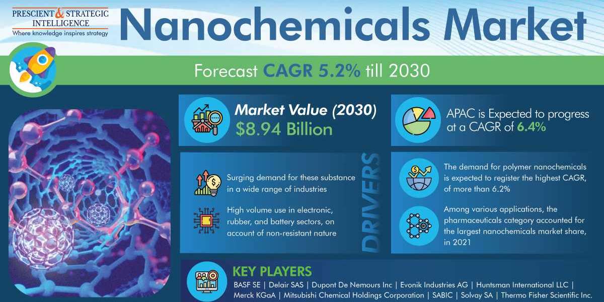 Nanochemicals Market: Shaping the Future of Precision Engineering