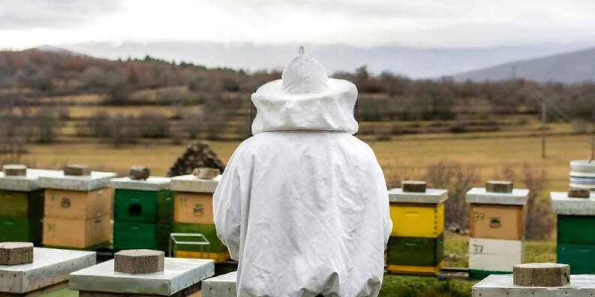 Beehive Splitting Demystified: Tips for Increasing Your Bee Colonies