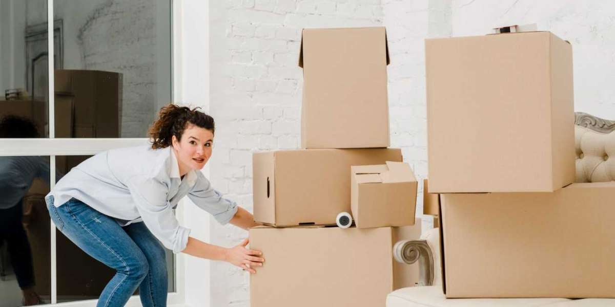 The Role of Insurance in Removalist Services