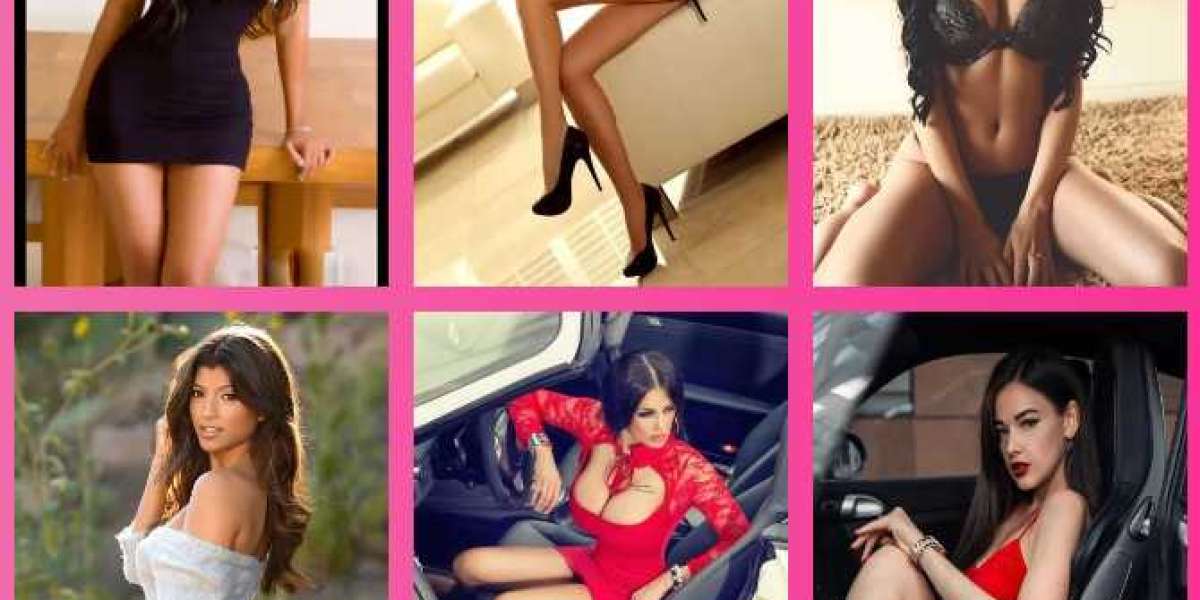Get Escort Service in Udaipur at low price by Xxlocanto.com