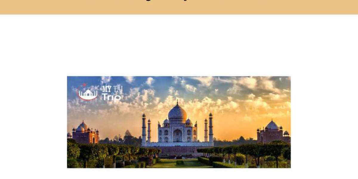 Exploring Eternal Beauty: Private Taj Mahal Day Trip From Delhi