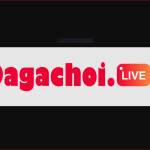 dagachoi.live Profile Picture