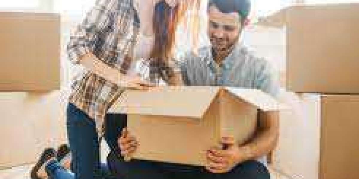 Learn Deep About Furniture Removals Christchurch