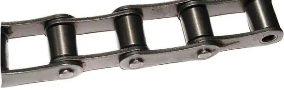 S55 roller chain Cover Image