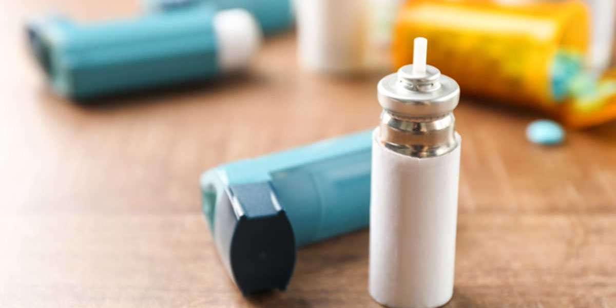 Bronchodilators Market Trends and Forecast | Research Report covers Global Industry Size & Share