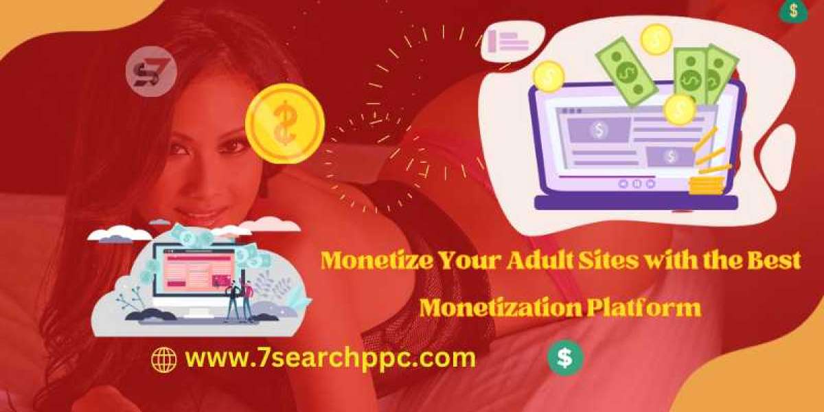 Using The Best Adult Sites Monetization Platform, You Can Make Money