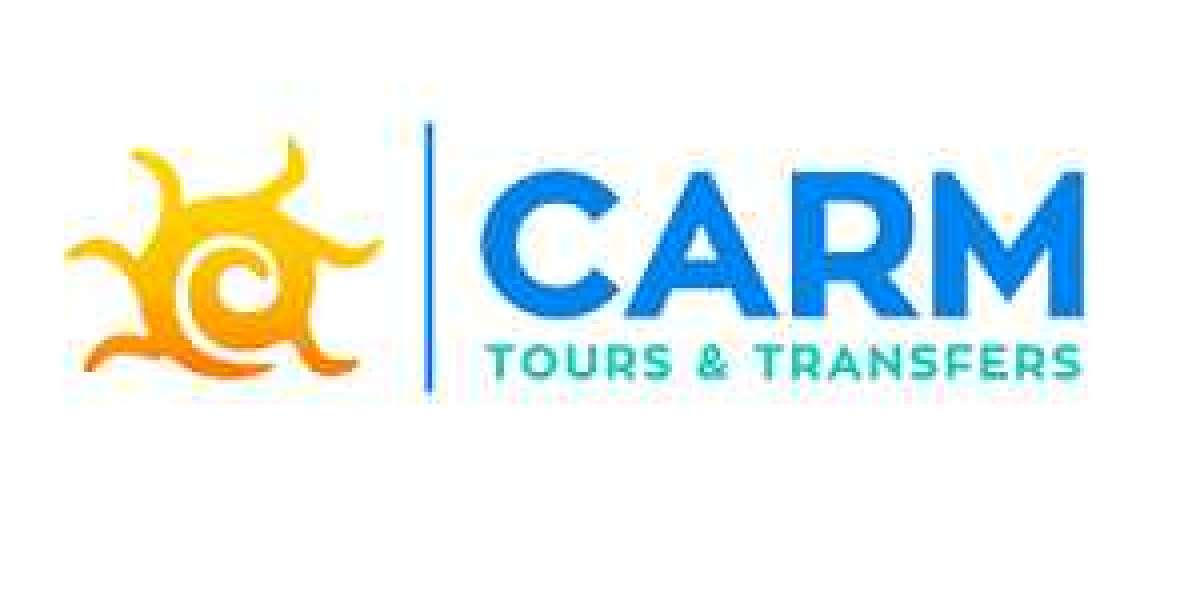 Simplifying Vehicle Transfers with CARM: Your Ultimate Guide