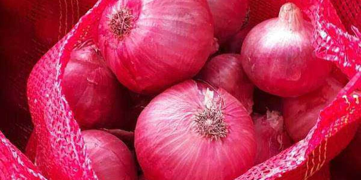 Meeting Global Demand: The Role of Onion Exporters