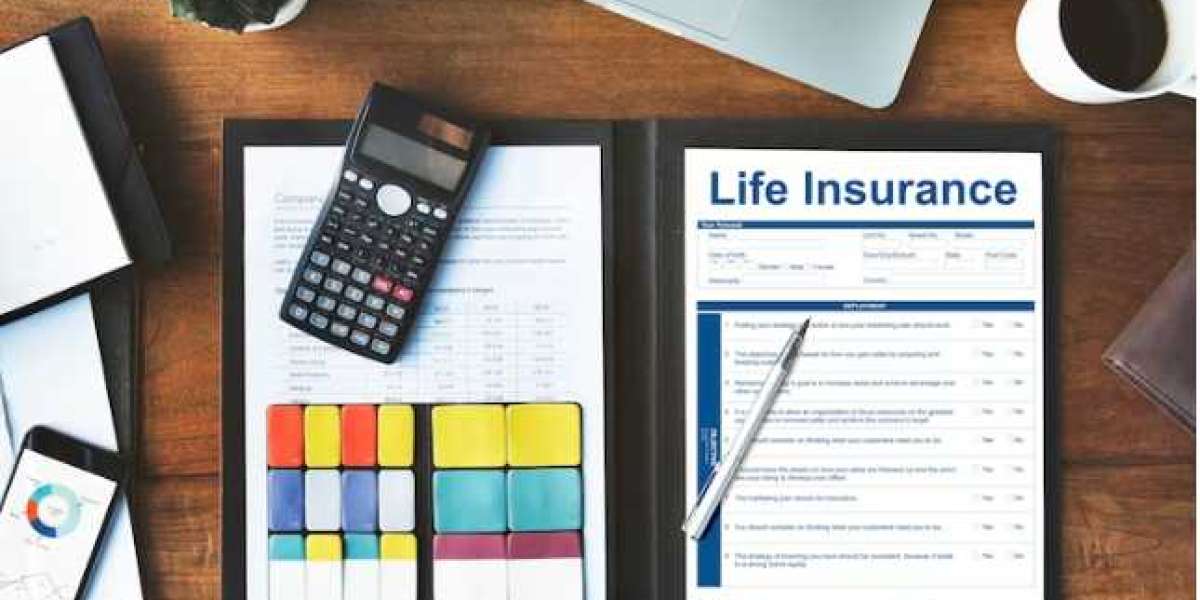 Work Comp Insurance FL: A Comprehensive Guide