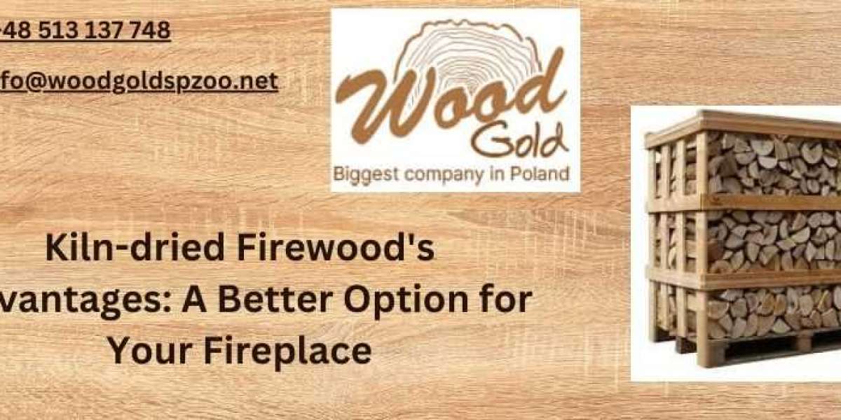 Kiln-dried Firewood's Advantages: A Better Option for Your Fireplace