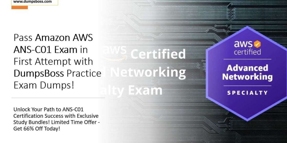 From Novice to Certified: ANS-C01 Exam Journey Unveiled