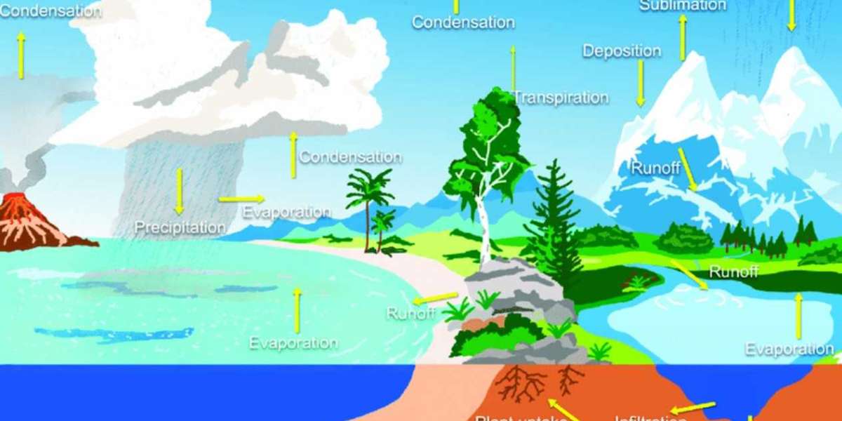Understanding Natural Water Systems: A Comprehensive Guide