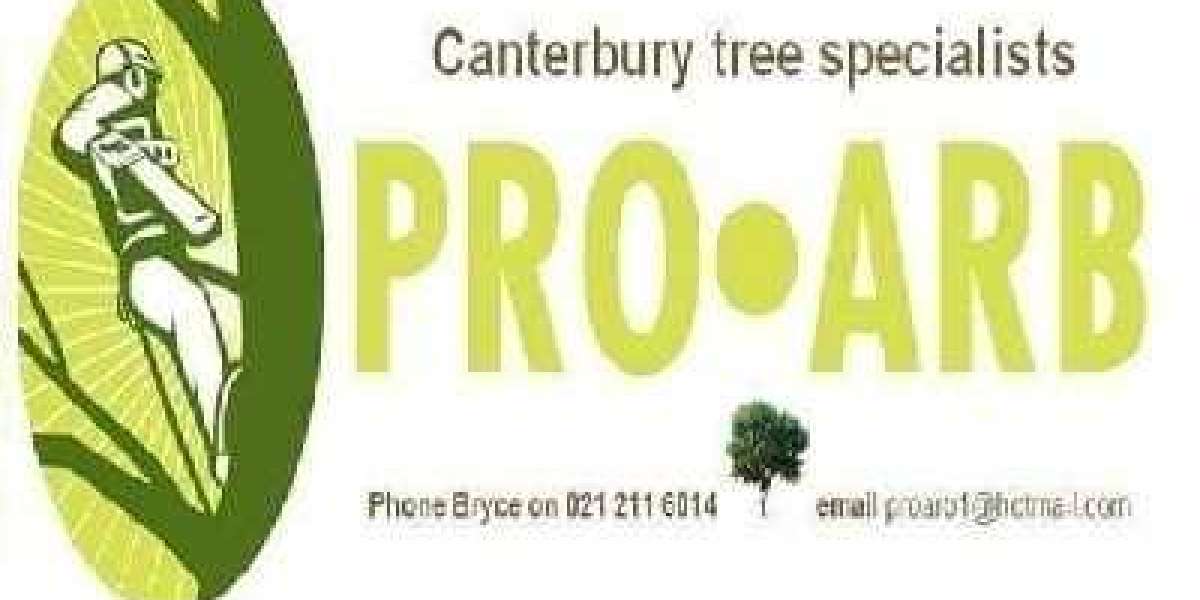 Tree Removal Services in Christchurch: Keeping Your Property Safe and Beautiful